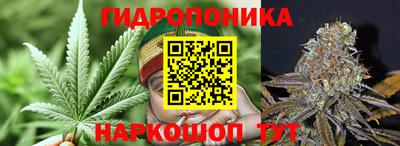 прущая мука Будённовск