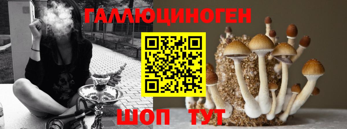 Саянск  Галлюциногенные грибы ЛСД  Вход с VPN 